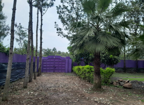 Nolan James Centre Foundation Home Inset2 550x400